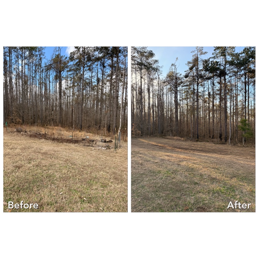 Property Cleanup And Yard Debris Removal In Oxford, MS